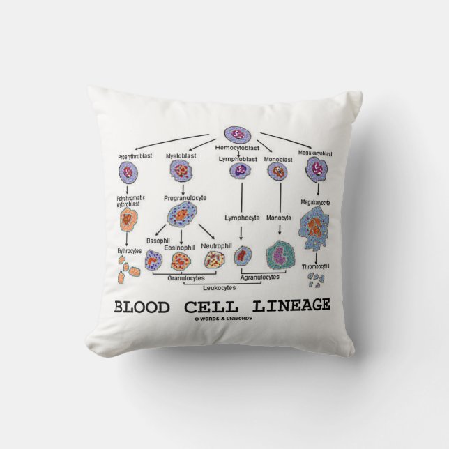 Coussin Lignée de globule sanguin (médecine de santé de (Recto)
