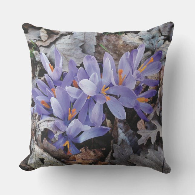 Coussin Lilac Purple Mountain Crocus Floral (Recto)