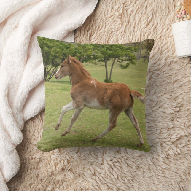 Coussin L'île de Pâques aka Rapa Nui (Couverture)