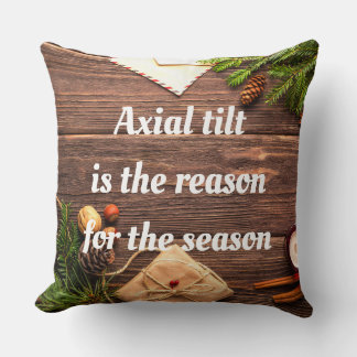 Coussin "L'inclinaison de l'axe est la raison de la saison