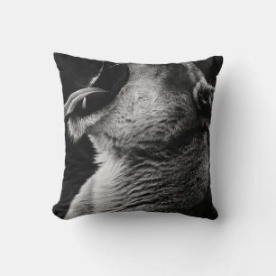 Coussin lion