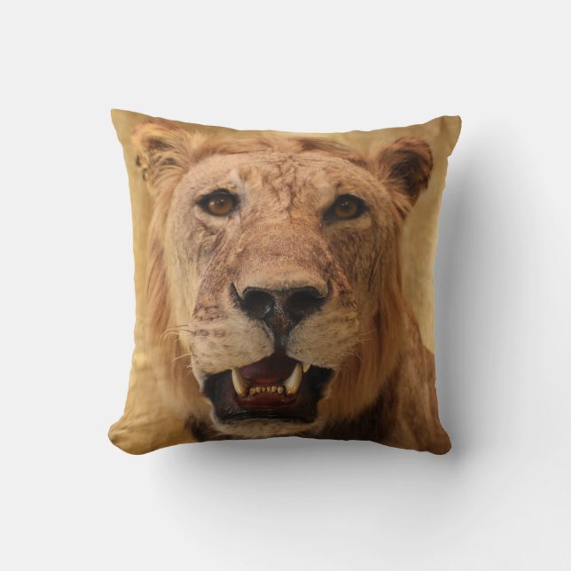 Coussin Lion Cool ! (Recto)