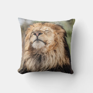 Coussin Lion mâle bronzage