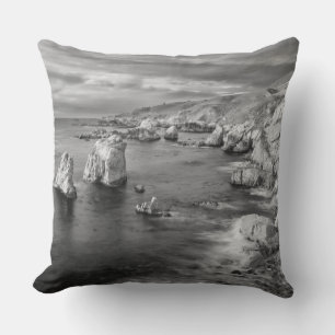 Coussin Littoral de la plage en N&B, Californie