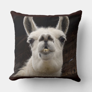 Coussin Llama Drama – Ich hab dich im Blick