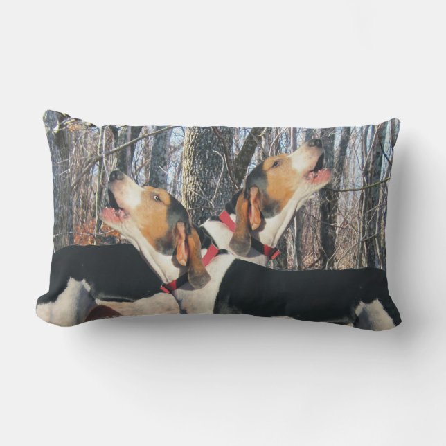 Coussin lombaire de Coonhound de marcheur de (Recto)