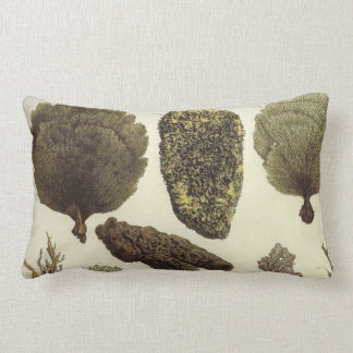 Coussin lombaire de vie marine nautique de