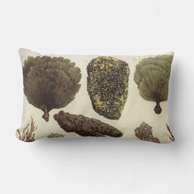 Coussin lombaire de vie marine nautique de (Recto)