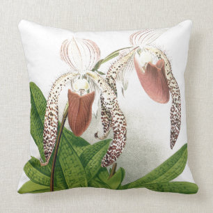 Coussin L'orchidée botanique de Cypripedium fleurit le