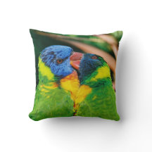Lorikeets dans l'amour