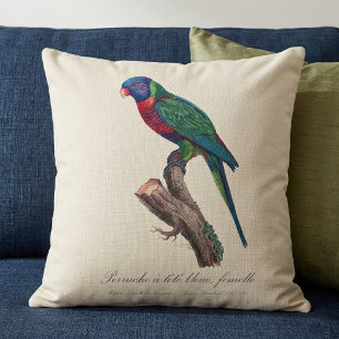 Coussin Loriquet arc-en-ciel femelle, Trichoglossus molucc