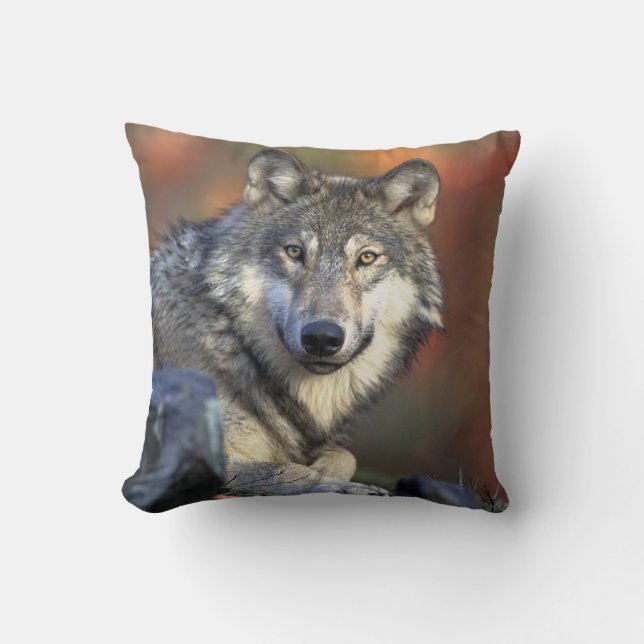 Coussin Loup Gris (Recto)
