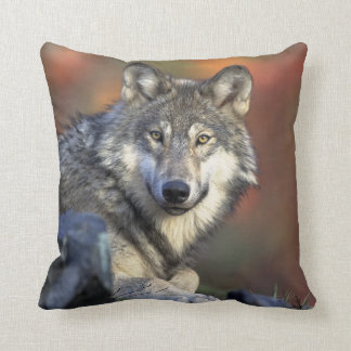 Coussin Loup Gris