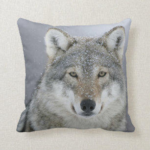 Coussin Loup gris