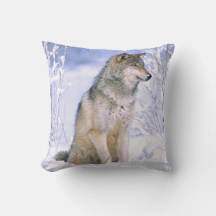 Coussin Loup gris assis dans la neige, Canis lupus,