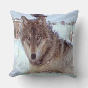 Coussin Loup gris en hiver