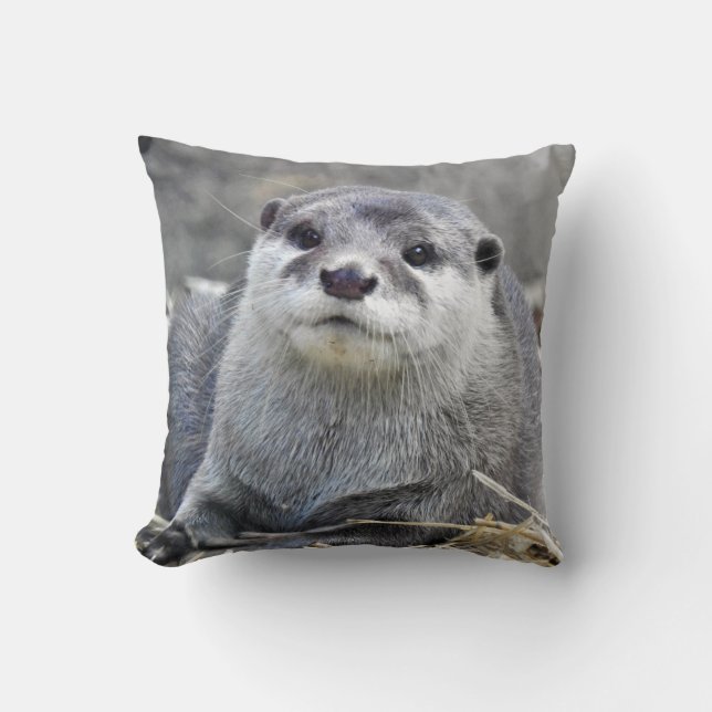 Coussin Loutre De petite taille-Griffée par Asiatique (Recto)