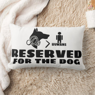 Coussin Lumbar 13 pouces x 21 pouces