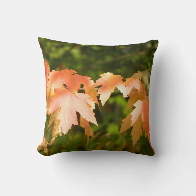 Coussin lumineux des feuilles d'automne (Recto)