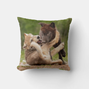 Coussin Luttes de louveteaux gris