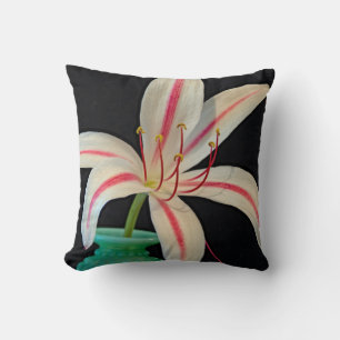 Coussin Lys de marais de vin de lait