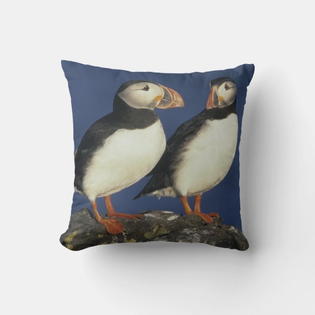 Coussin Macareux atlantique (Recto)