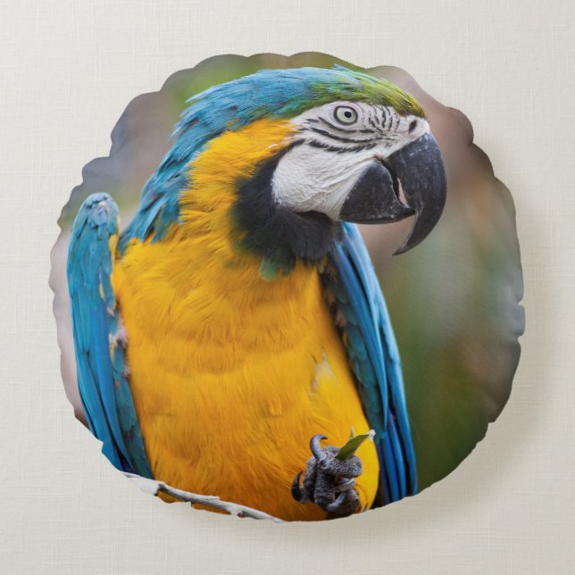 Coussin Macaw bleu et jaune (Devant)