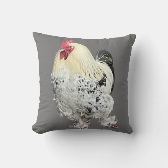 Coussin Magnifique Cockerel No 2 (Recto)