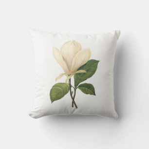 Coussin magnolia de soucoupe (soulangiana de magnolia) par