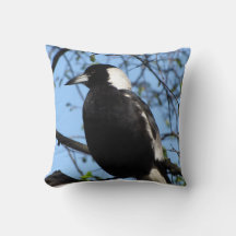 Magpie australienne