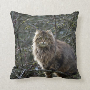 Coussin Maine Coon cheveux longs Tabby Chat Animal Animal