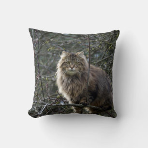 Coussin Maine Coon cheveux longs Tabby Chat Animal Animal