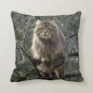 Coussin Maine Coon cheveux longs Tabby Chat Animal Animal