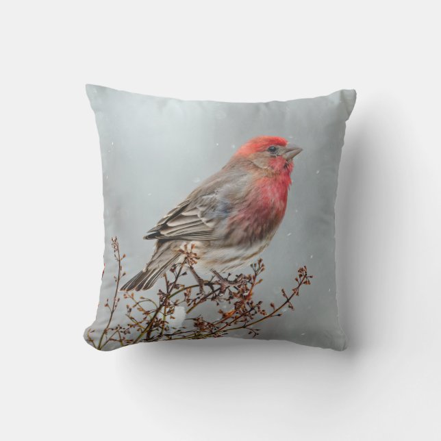 Coussin Maison Finch en Neige - Photo originale (Recto)