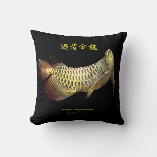 Coussin Malaysian Golden Arowana (Recto)