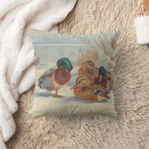 Coussin Mallard et turquoise dans la neige, Oiseaux