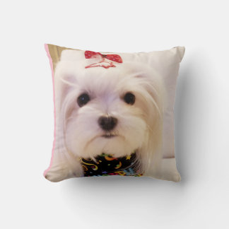 Coussin maltais