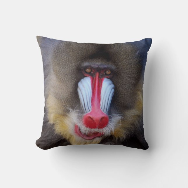 Coussin Mandrill viril (Recto)