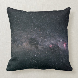 Coussin Manière laiteuse 3