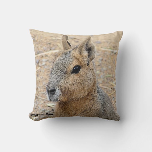 COUSSIN MARA PATAGONIENNE ANIMAL SAUVAGE (Recto)