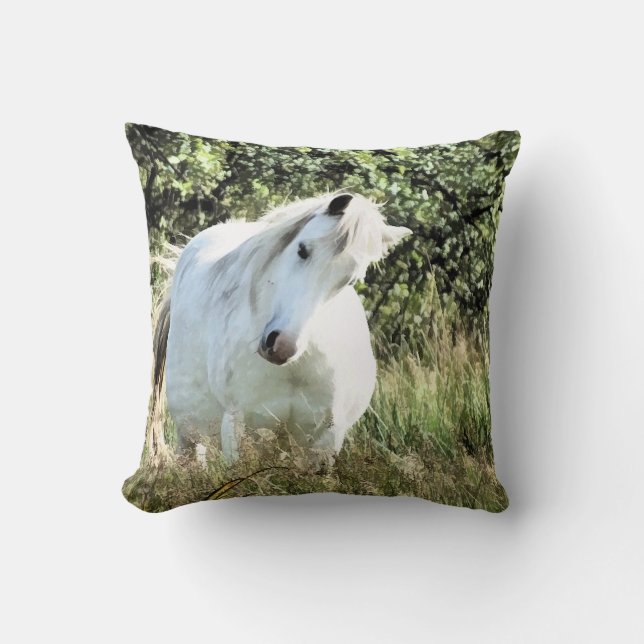 COUSSIN MARE POINTÉE (Recto)