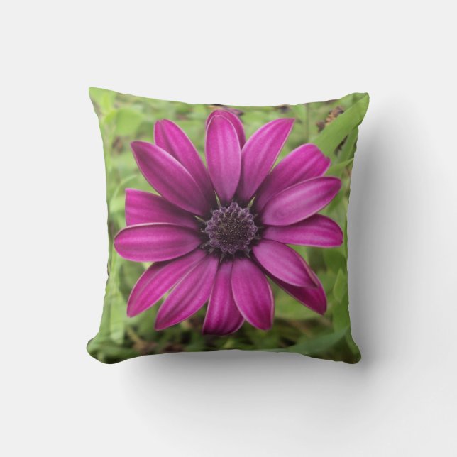 Coussin Marguerite pourpre (Recto)