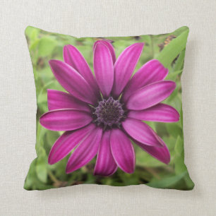 Coussin Marguerite pourpre
