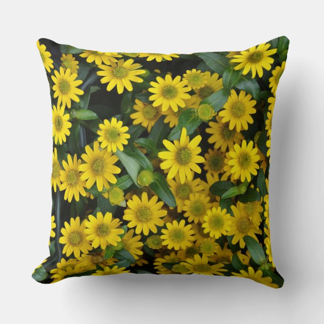 Coussin Marguerites jaunes (Recto)