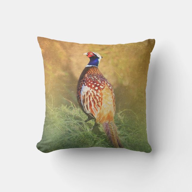 Coussin masculin de faisan (Recto)