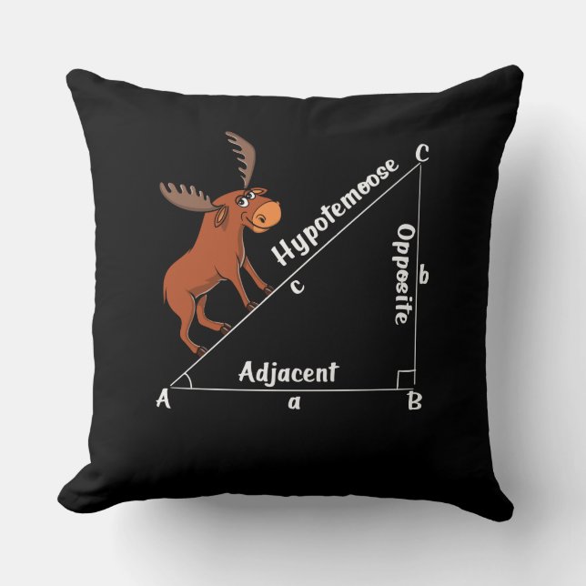 Coussin Math drôle Hypoténoose Géométrie Moose Moose Plais (Recto)