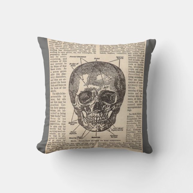 Coussin Médicale de crâne humain d'anatomie (Recto)