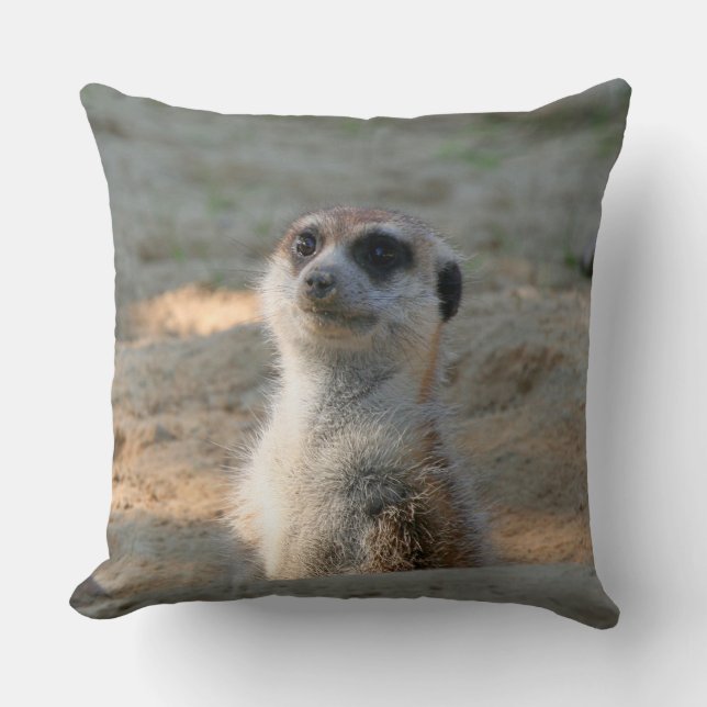 Coussin Meerkat 004 (Recto)