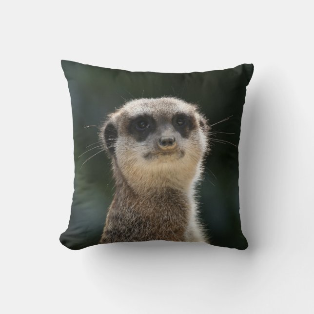 Coussin Meerkat 017 (Recto)