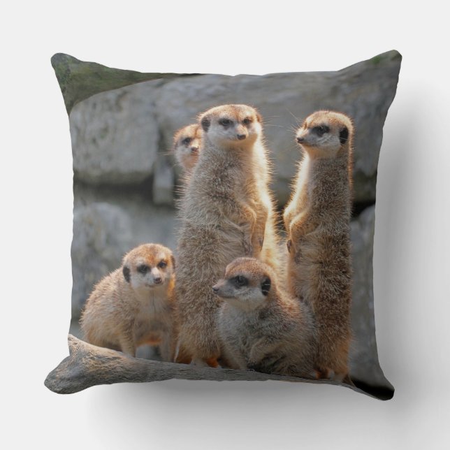 Coussin Meerkat 110 (Recto)